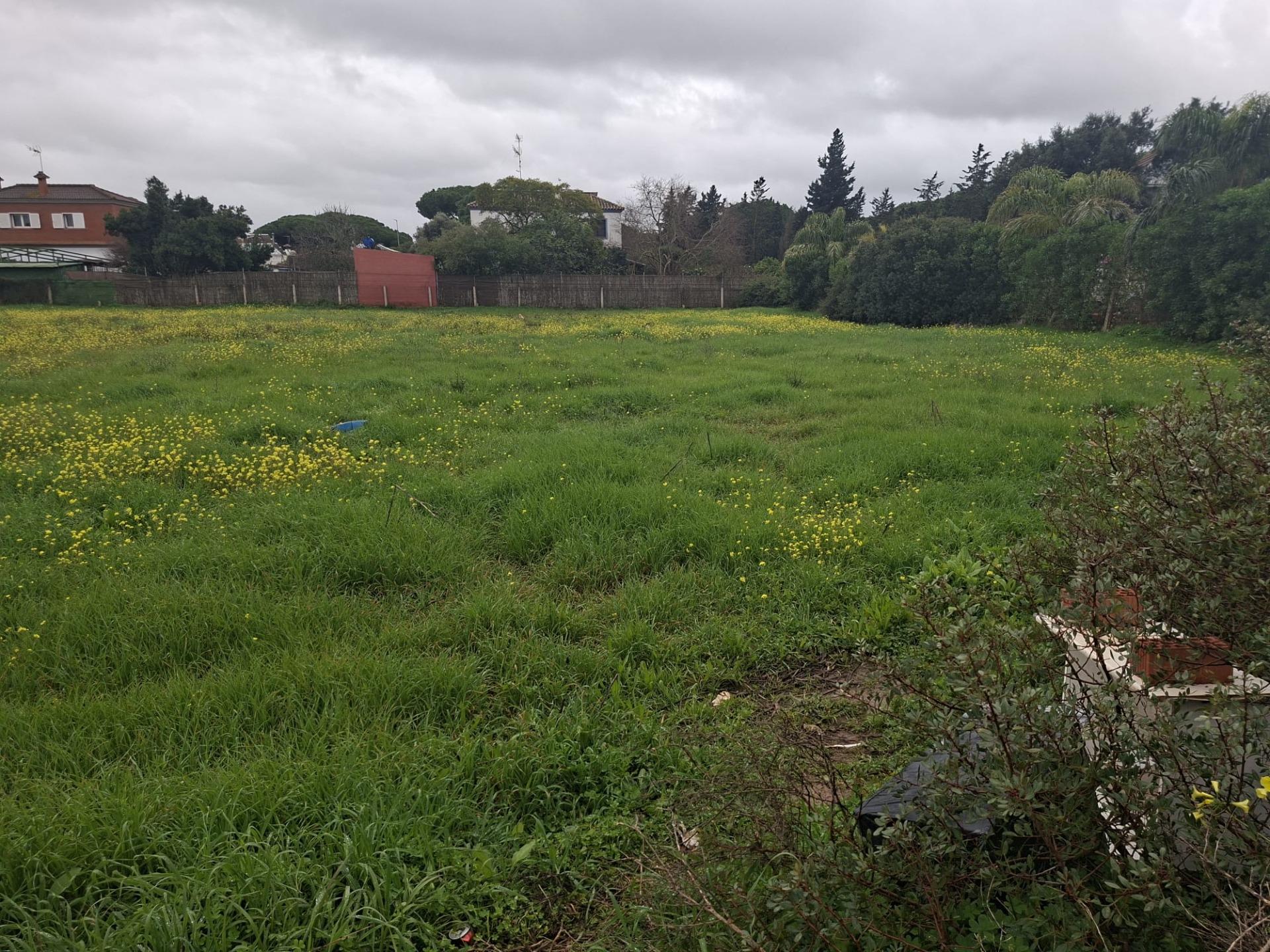 Segregated plot for sale. Verbena Way