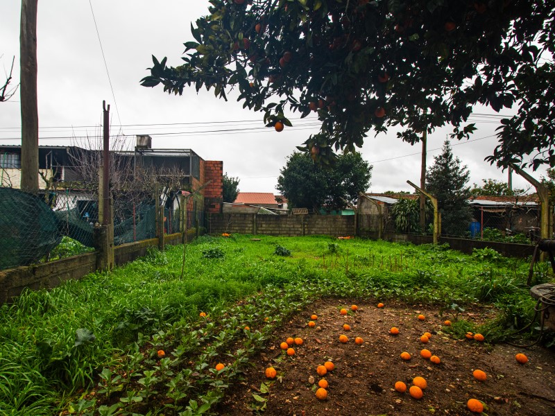 3 bedroom villa to recover 7 km from Coimbra