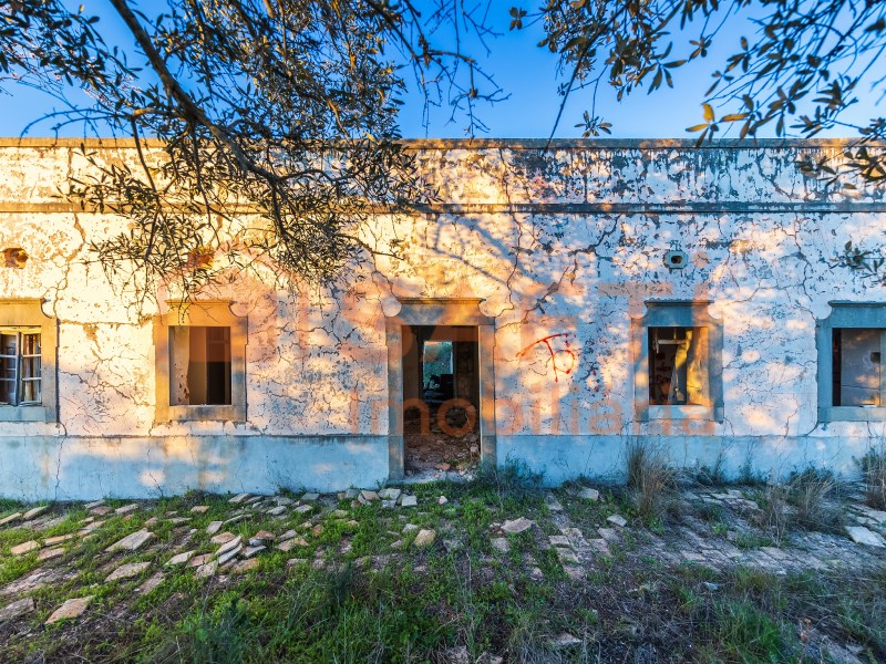 House with big plot of land for urban rehabilitation in Santa Bárbara de Nexe, Faro