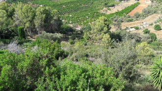 Urban Land in Monte Pego – Investment Opportunity in the Marina Alta