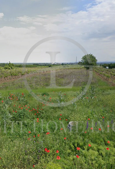 Land Plot for sale, с. Брестник/s. Brestnik (Brestnik, Bulgaria)