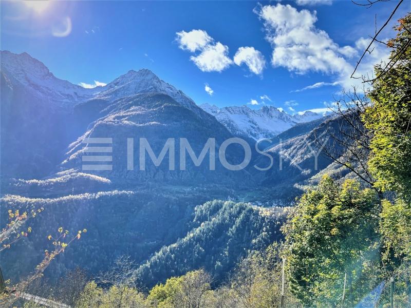 The project in the fresh air