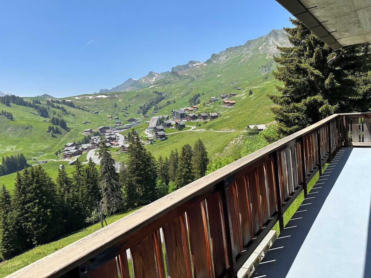 Magnificent 3 1/2 Room Apartment in Les Crosets, Valais