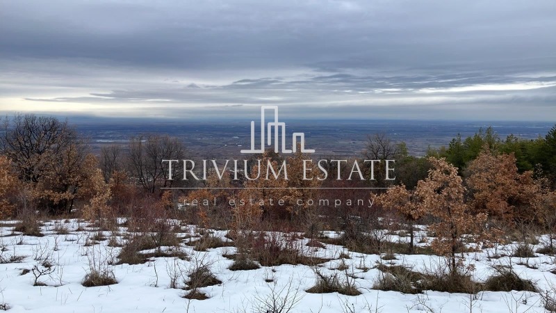 Land Plot for sale, с. Брестовица/s. Brestovica (Brestovitsa, Bulgaria)