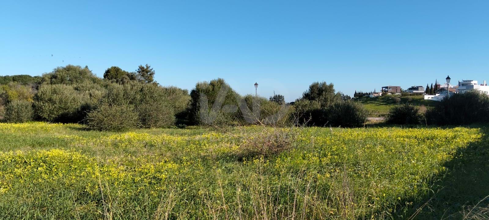 Terreno para construir - 802 m2