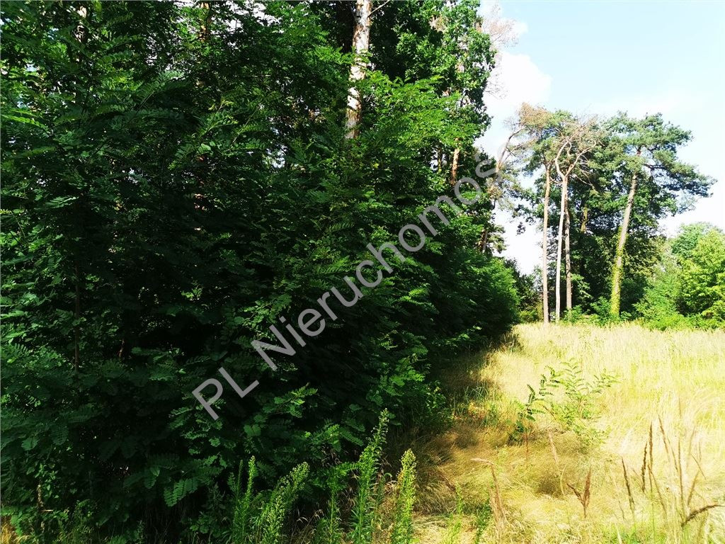 Land Plot for sale, mazowieckie grodziski (Jaktorów, Poland)