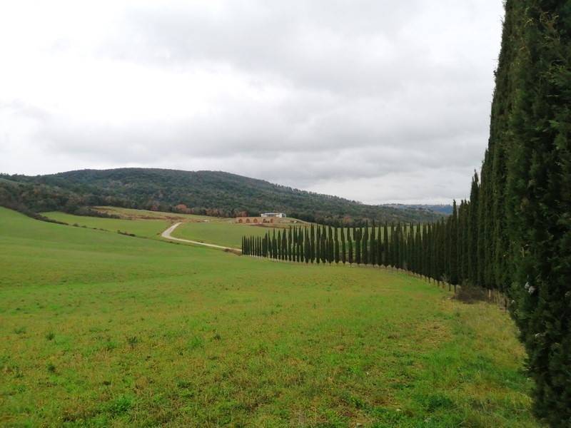 Land - Tuscany - For Sale - A6380TA2178306A