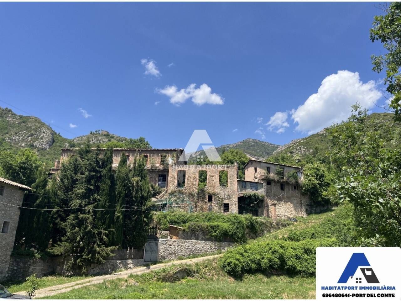 Commercial for sale in Berga, Spain