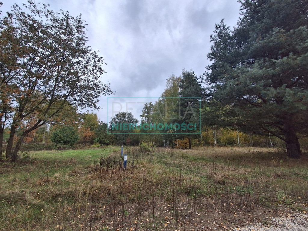 Land Plot for sale, mazowieckie grodziski (Jaktorów, Poland)