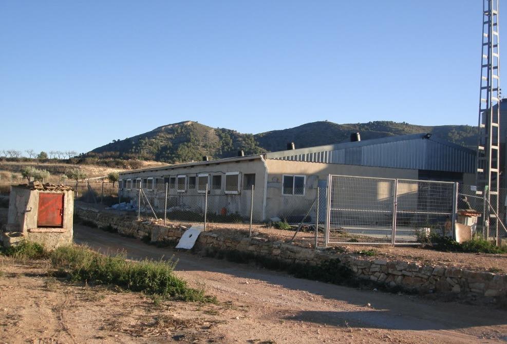 INDUSTRIAL WAREHOUSE IN LA ROMANA. ALICANTE