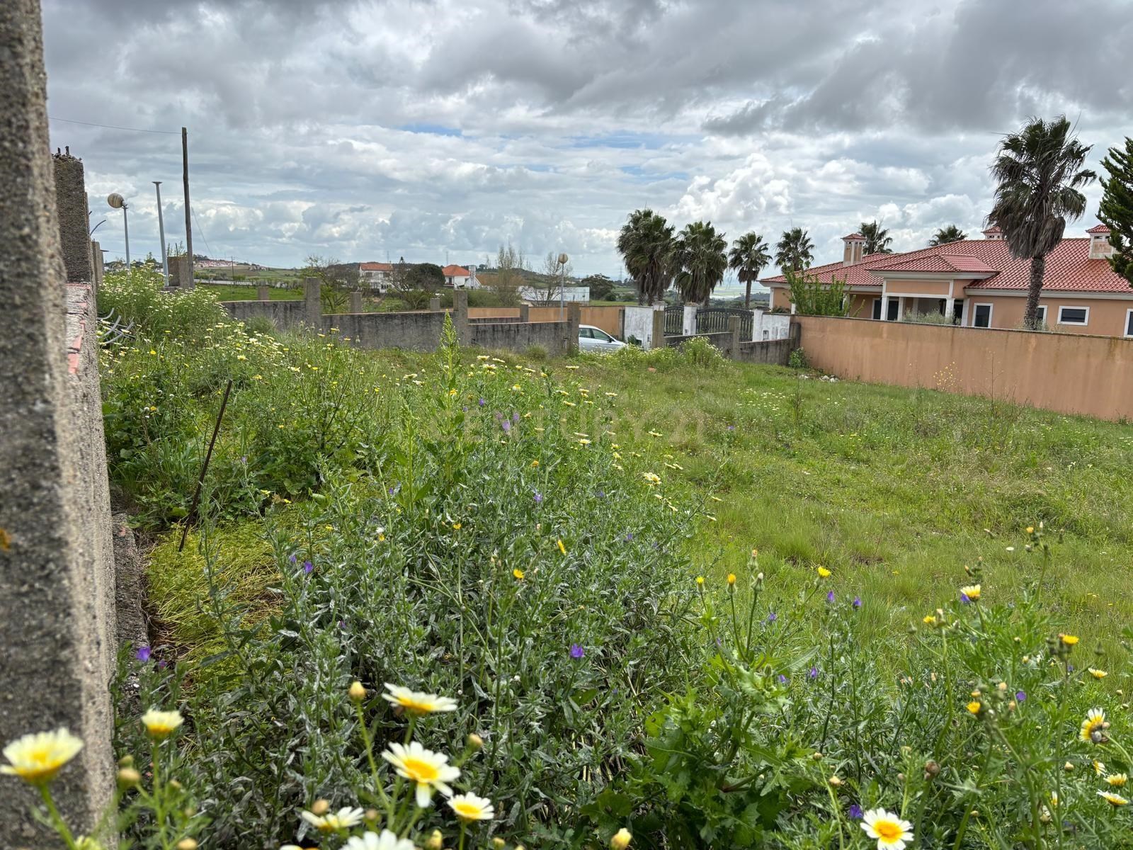 Land with approved project - House T5