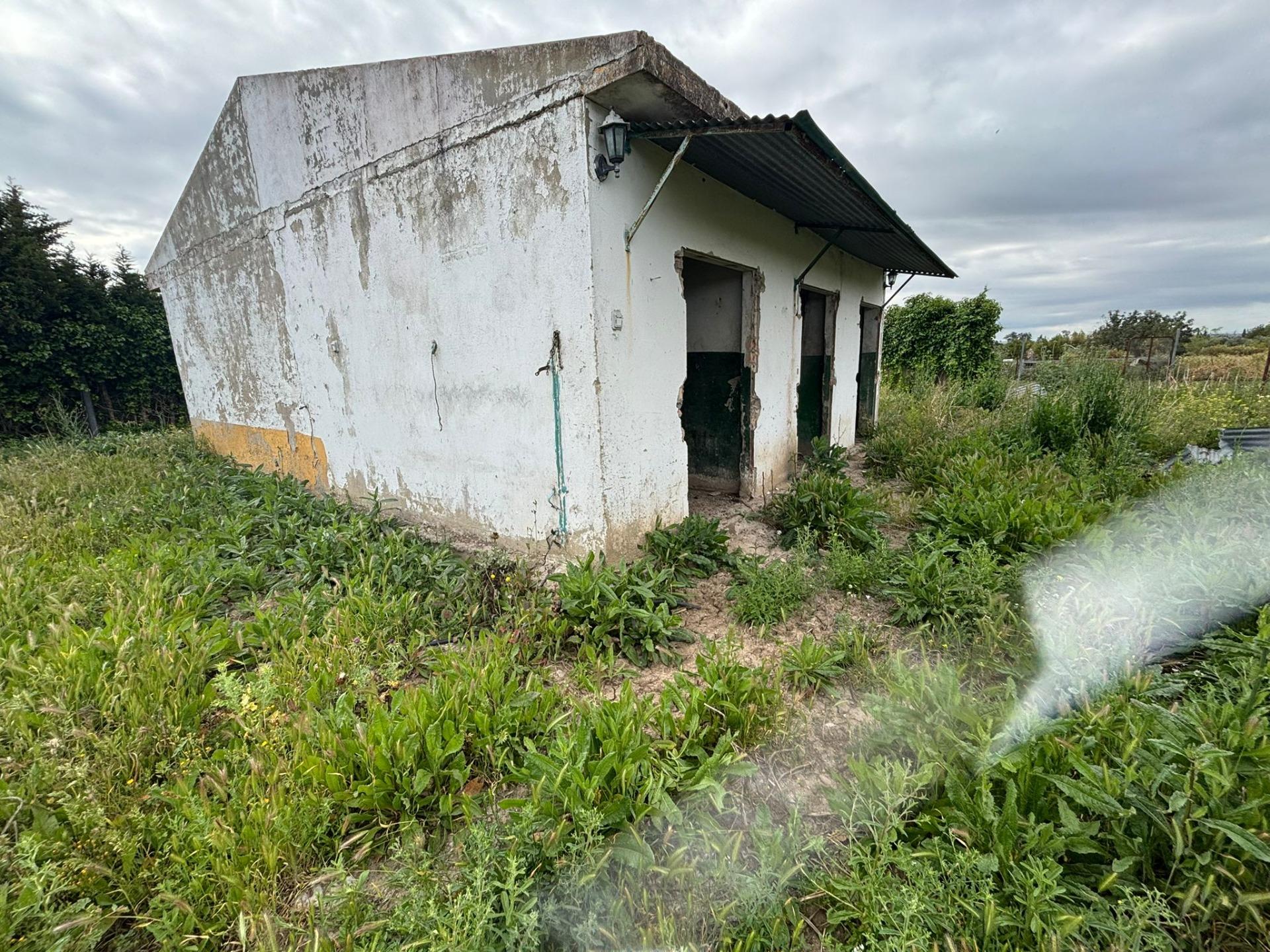 3300M PLOT WITH CONSTRUCTION