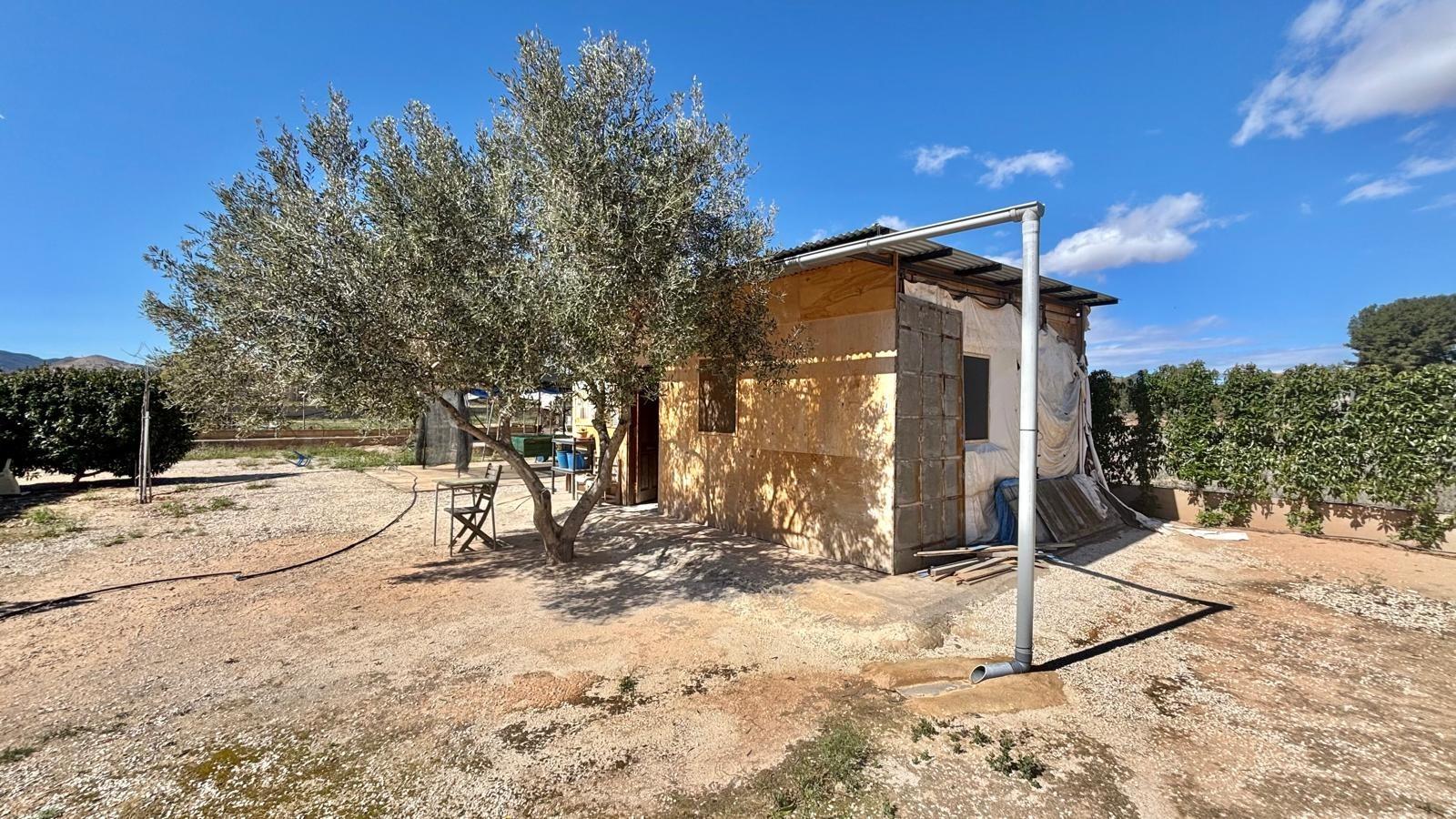 PLOT FOR SALE IN ASPE