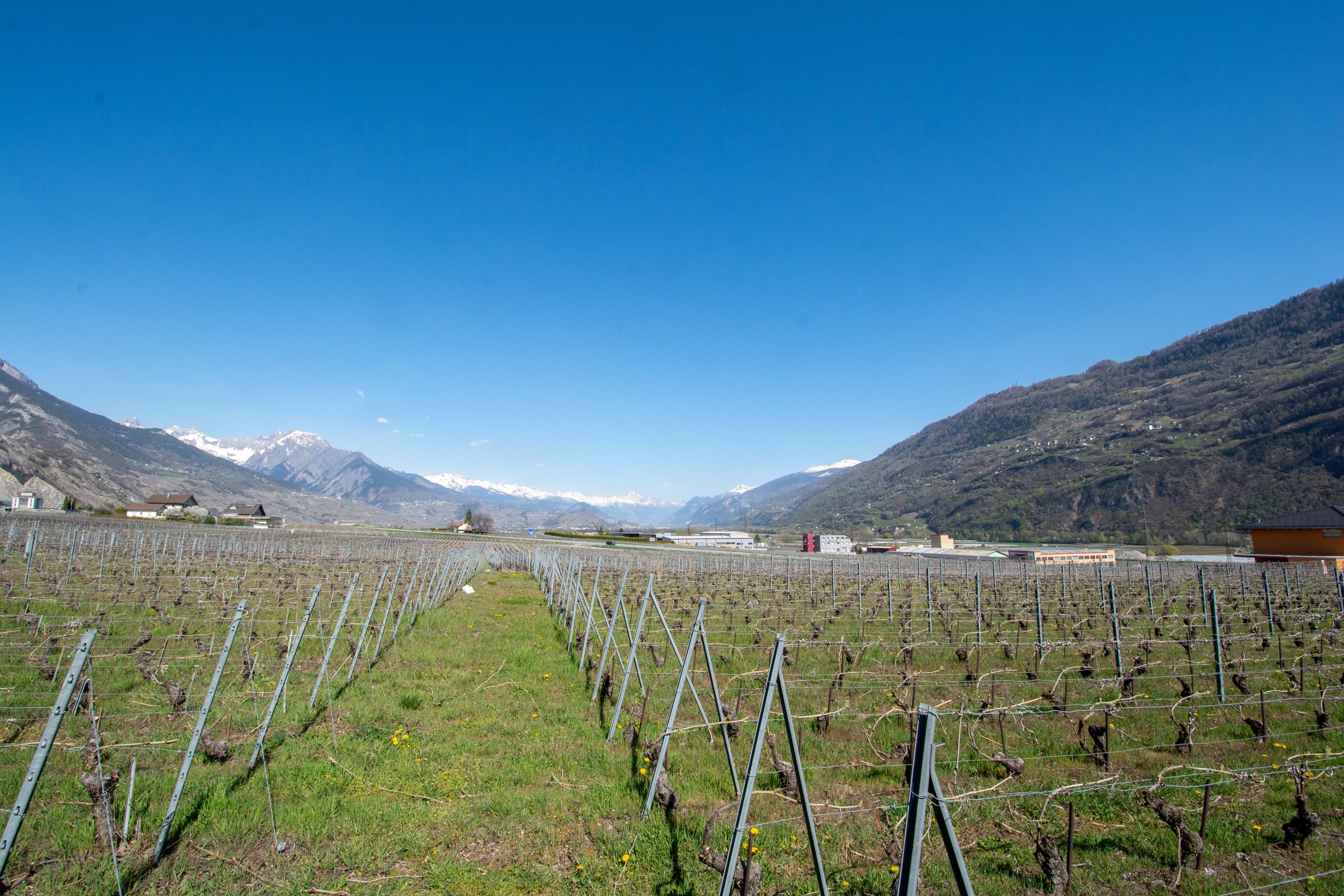 Plots with villa projects to build