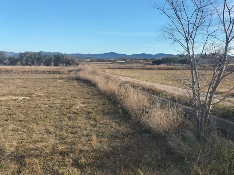 Land Plot for sale in Llíria, Spain