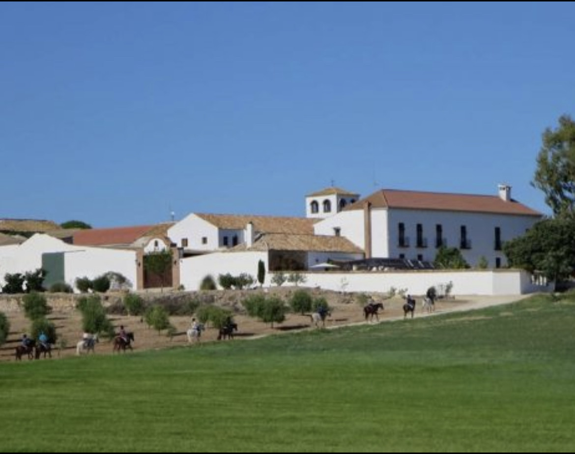 Stunning Cortijo with 30 stables and pool in Mollina