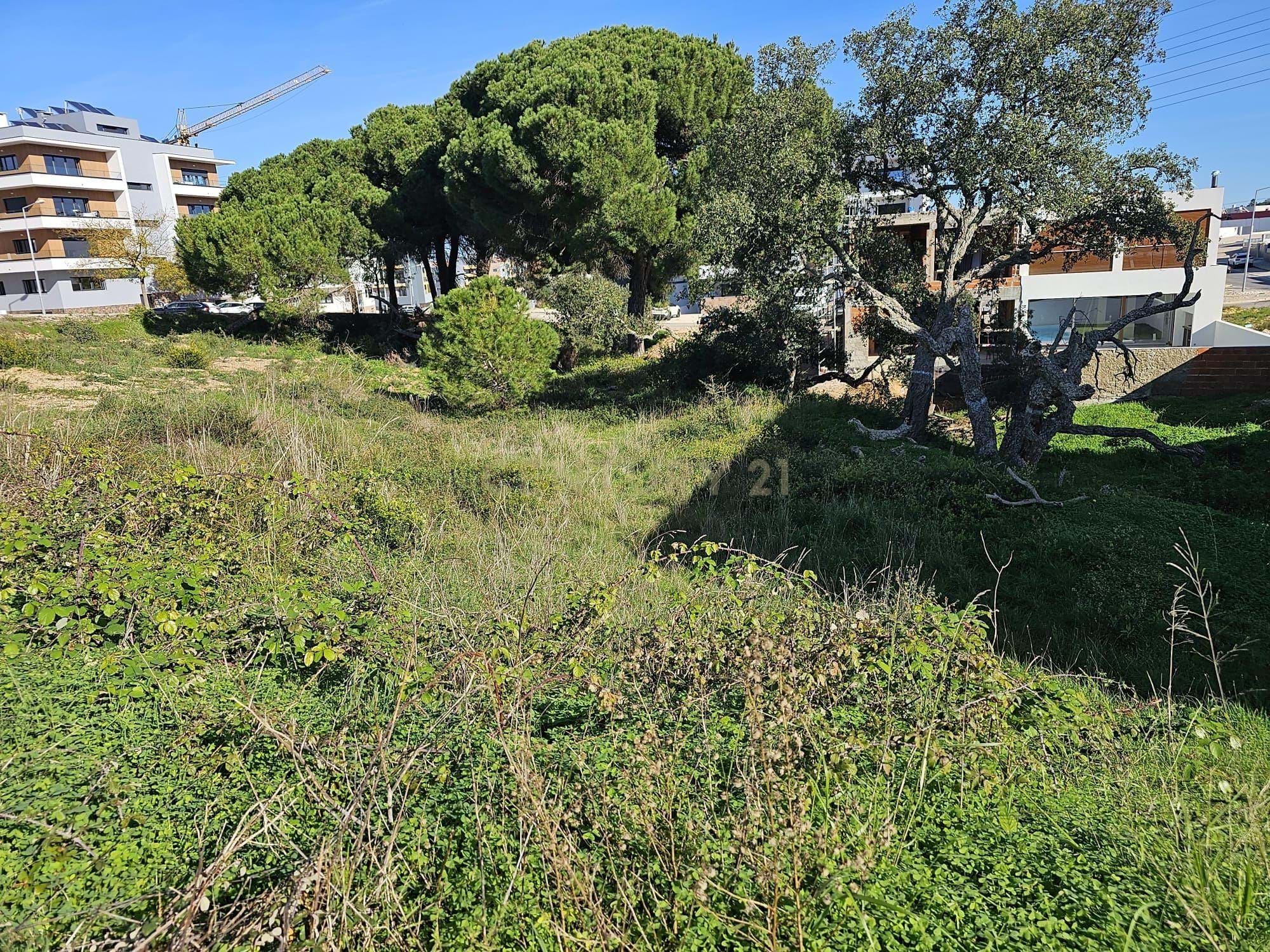 Urban Land - Quinta da Amizade