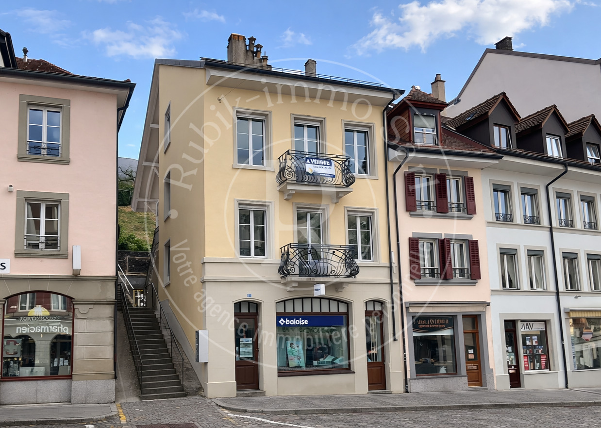 Charming townhouse with 2 apartments and commercial space