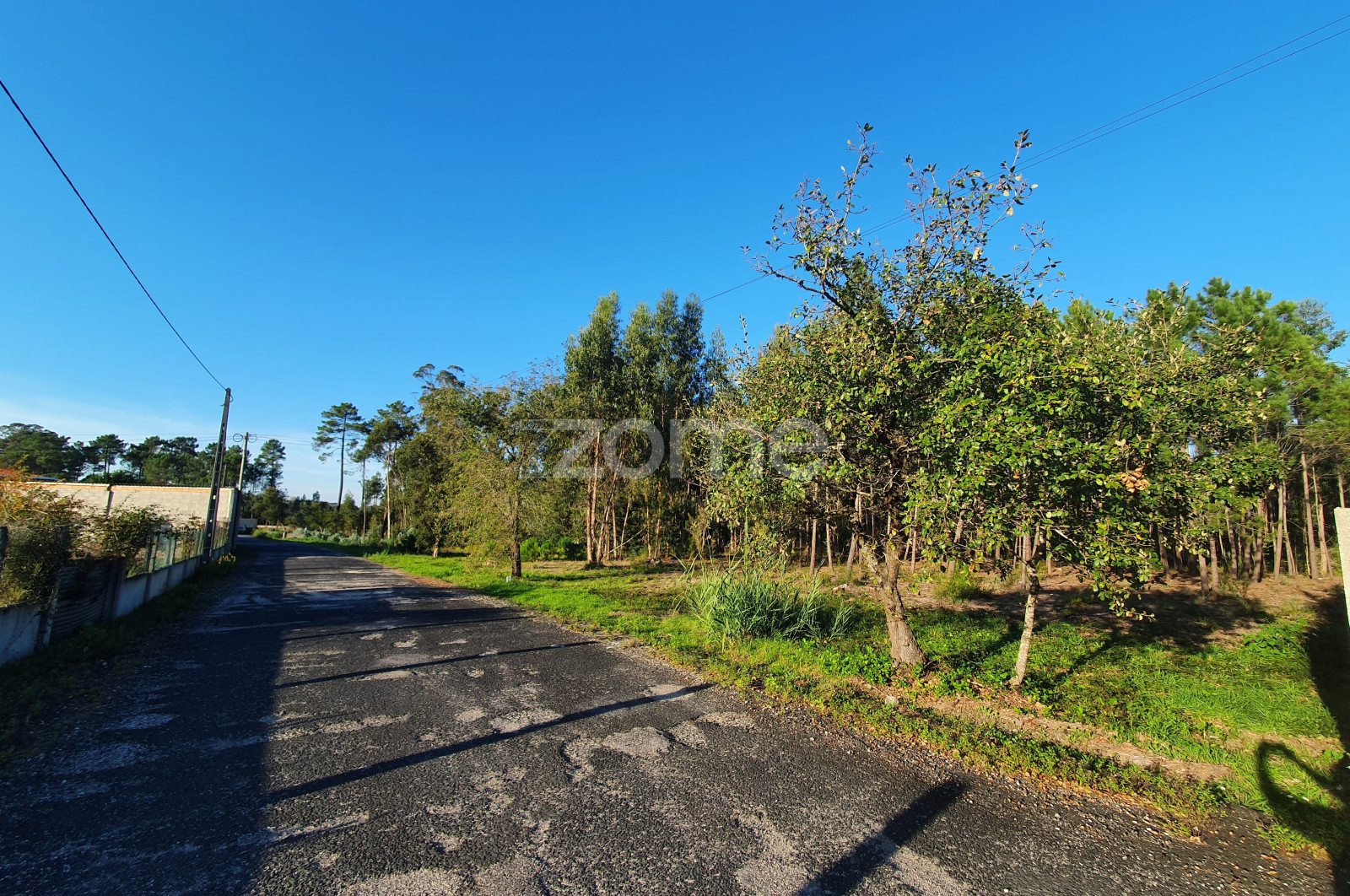 Land Plot for sale in Marinha Grande, Portugal
