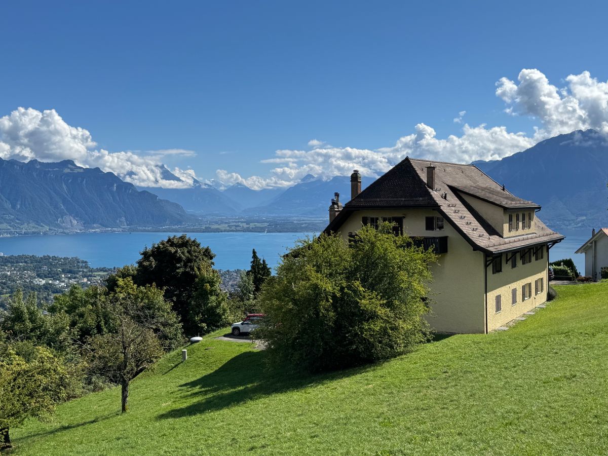 Large 2-3 room apartment