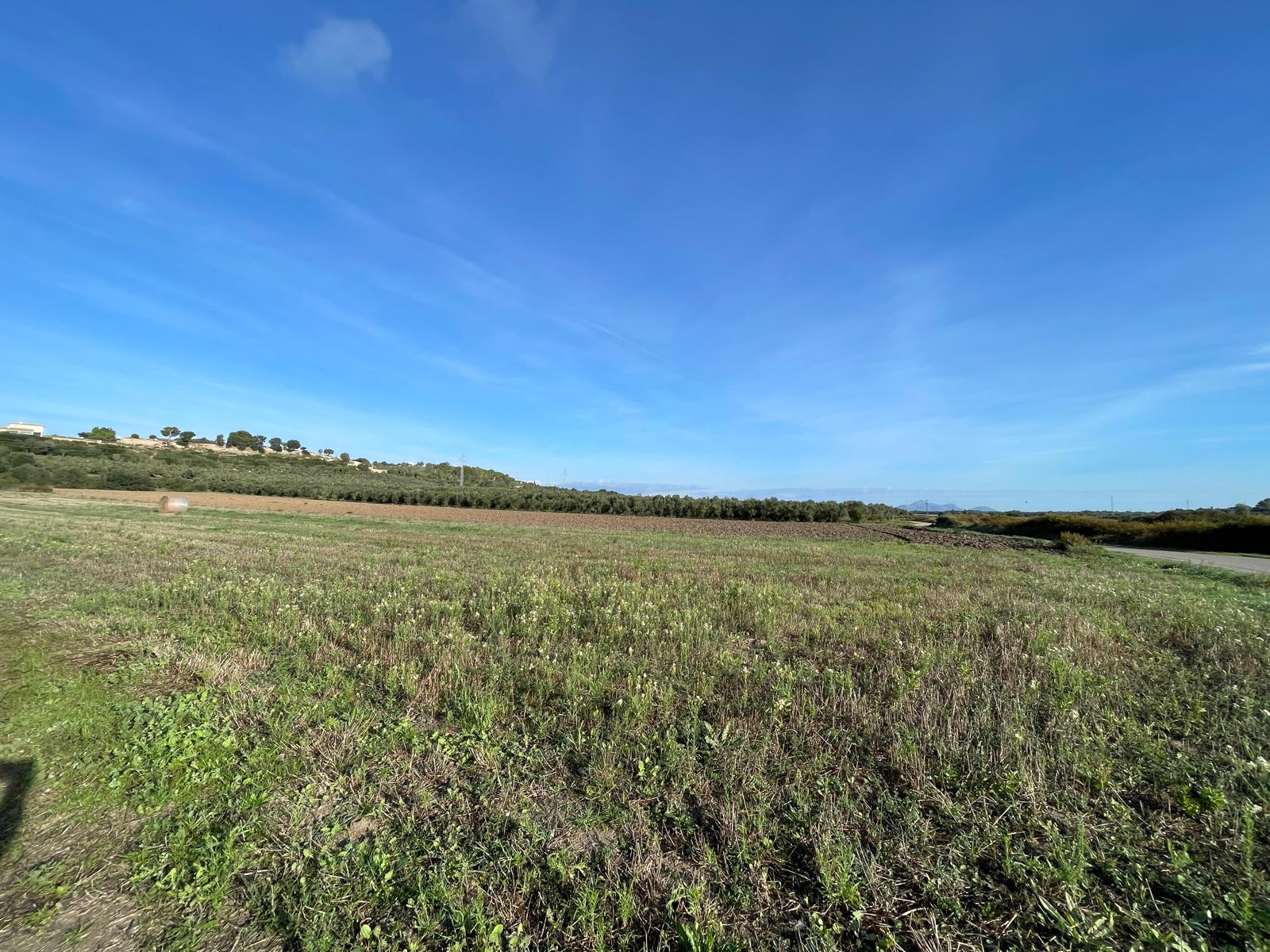 Land Plot for sale, 242 Diseminado Diseminados (Muro, Spain)