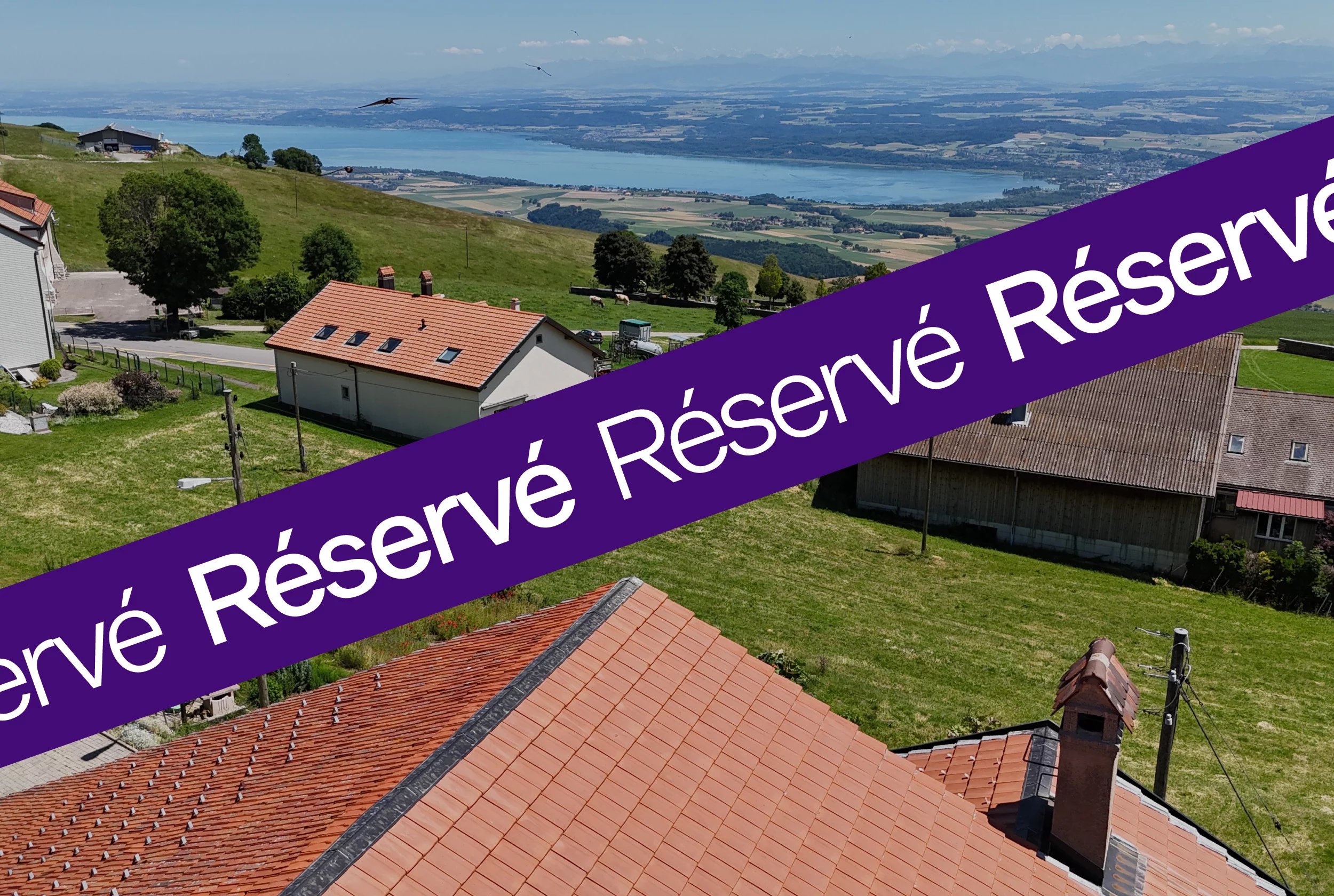 Energy-efficient renovated farmhouse