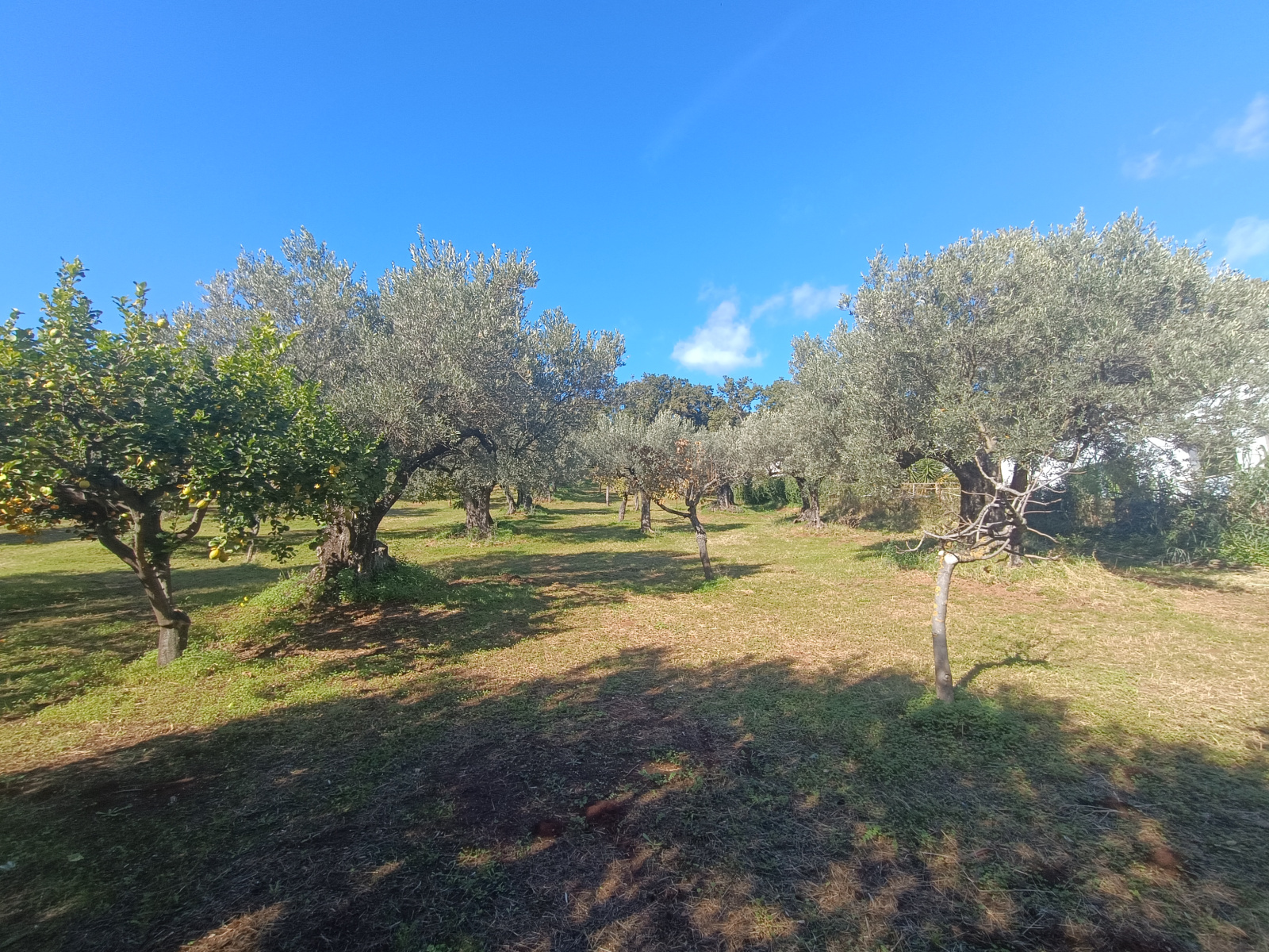 Land Plot for sale, calabria lamezia terme sambiase (Lamezia Terme, Italy)