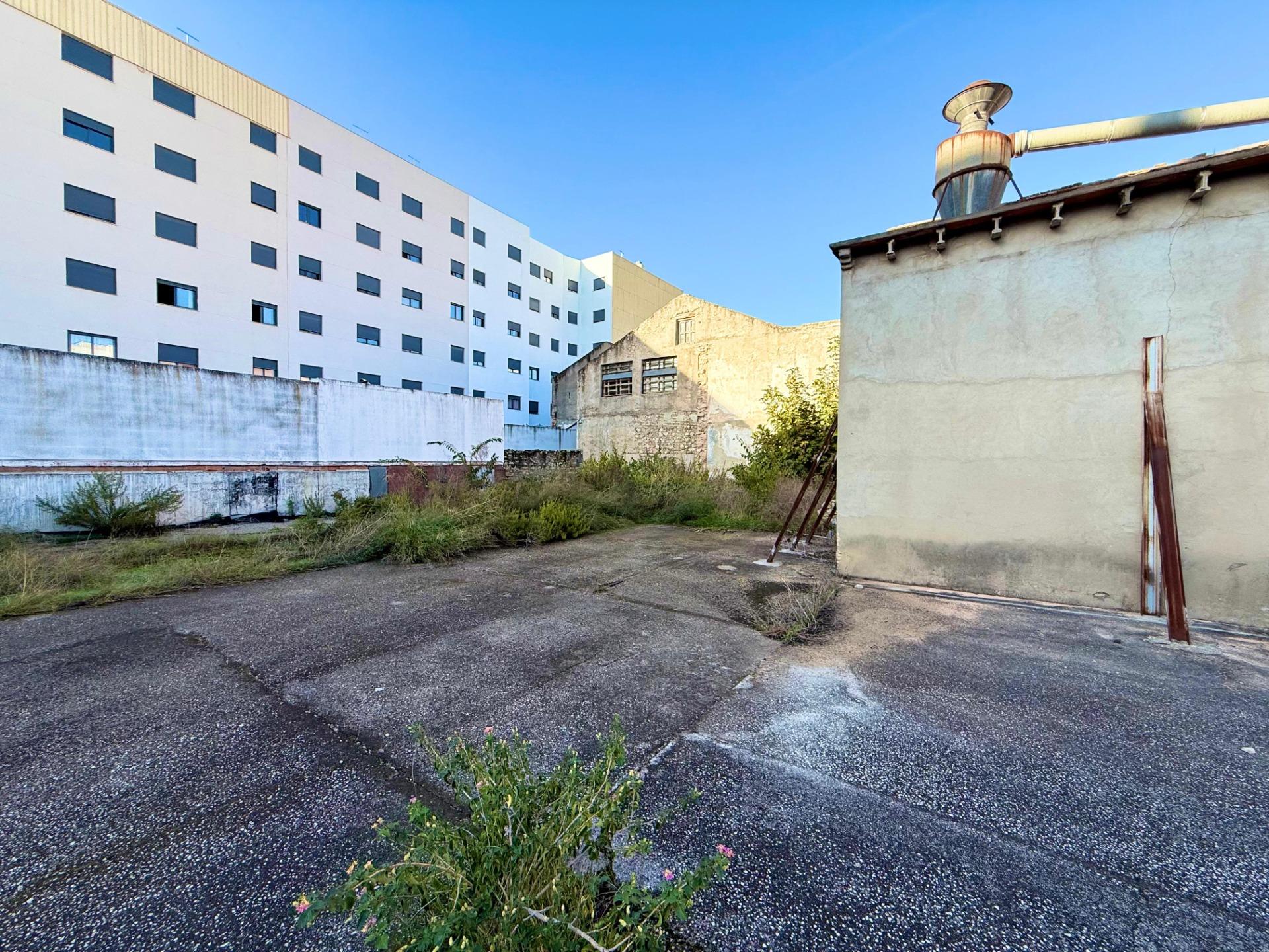 More than a Warehouse: A Large-Scale Project in Carcaixent