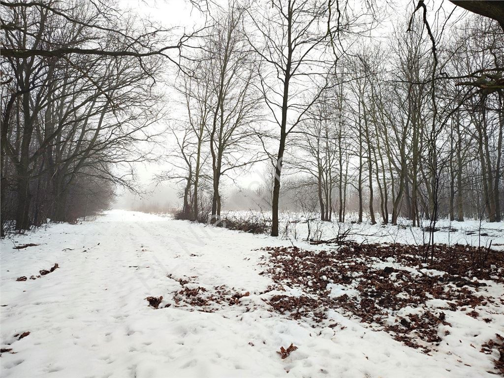 Land Plot for sale, mazowieckie grodziski (Milanówek, Poland)