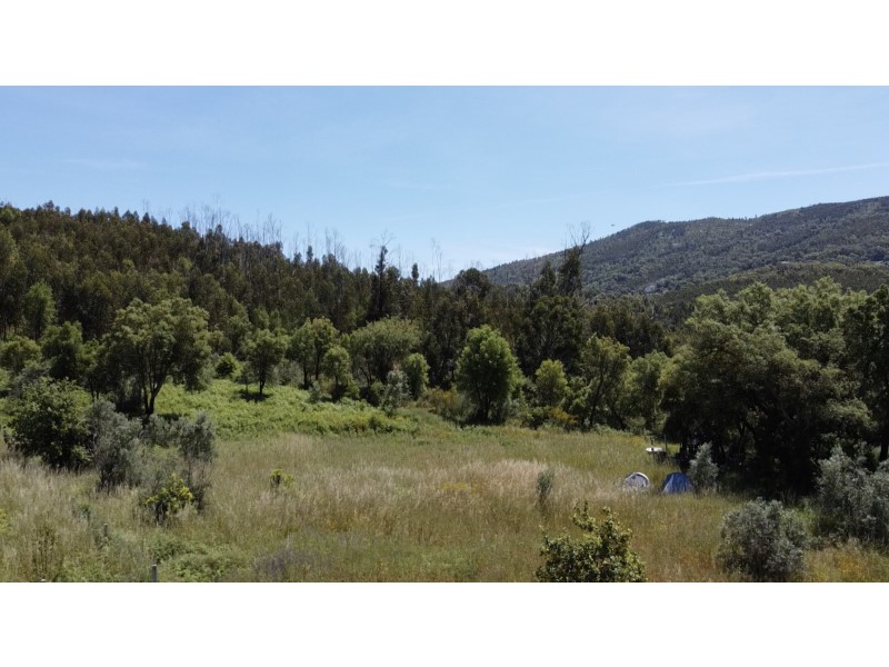 Flat Land of 8,040 m² in the Serra de Monchique - Panoramic View