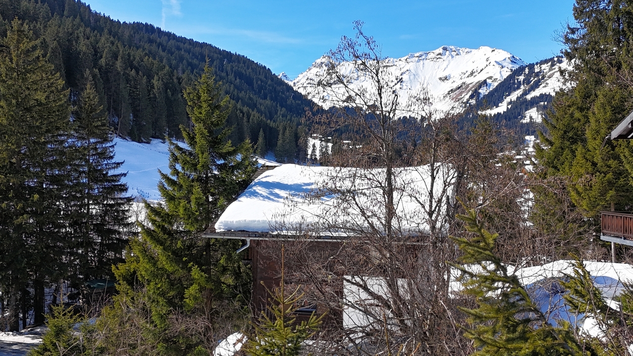 ALPINE LIFESTYLE- LESS THAN A MILLION-RARE CHALET-FOREIGNERS WELCOME