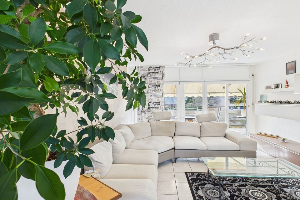 3 ½ locali luminoso con terrazza in zona comoda e residenziale