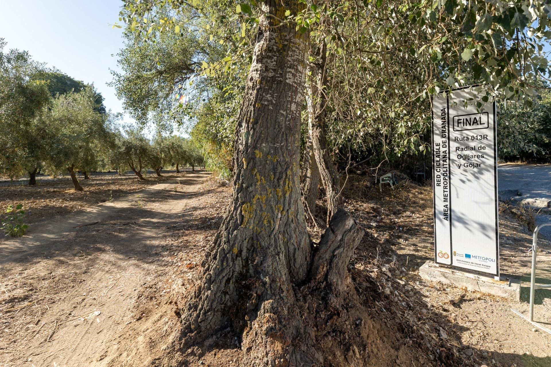 Land Plot for sale in Gójar, Spain