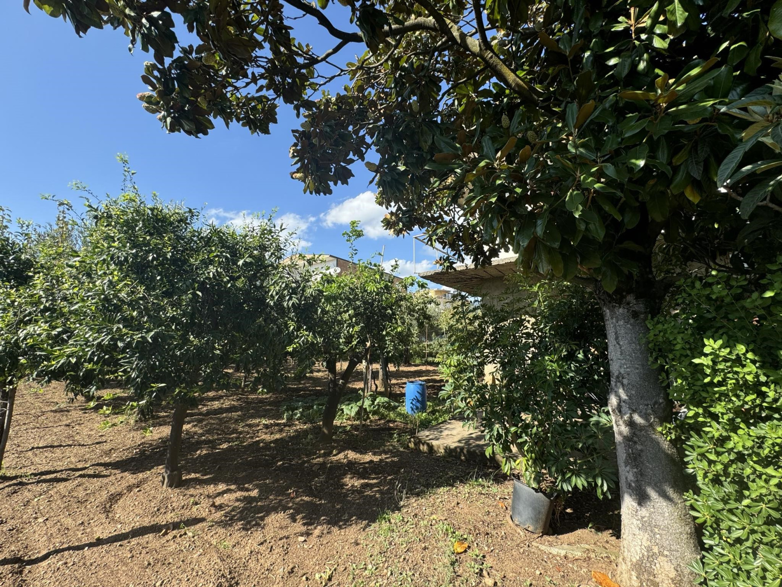 Land Plot for sale, calabria lamezia terme nicastro (Lamezia Terme, Italy)