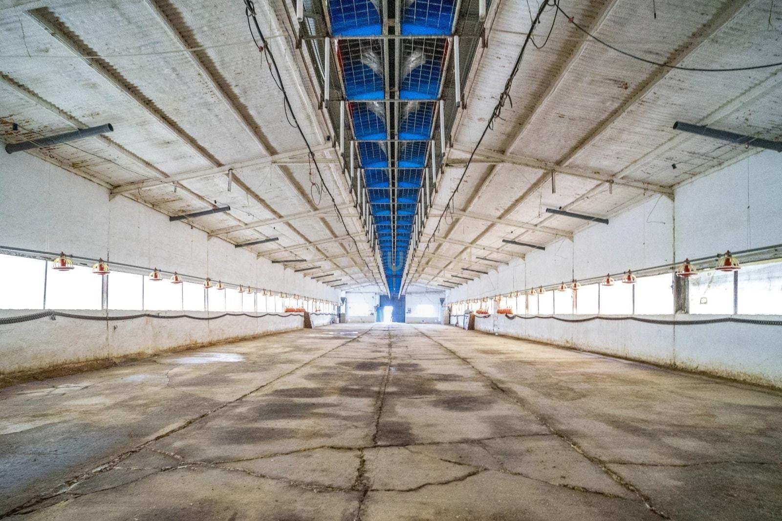 ## NAVES CON PARCELA N.:5935 (Price: 985,000 Euro)