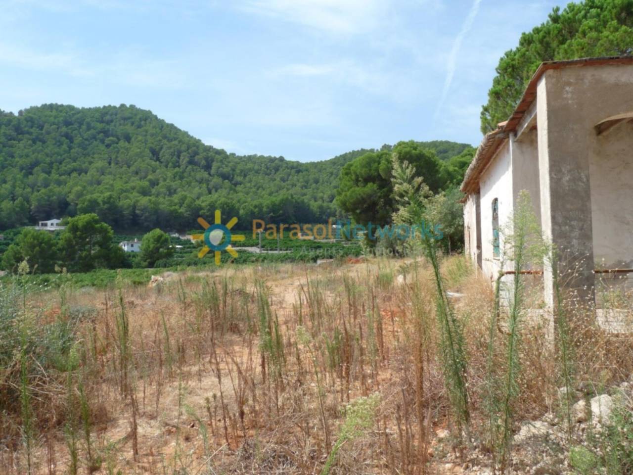 Land for sale in Real de Gandía