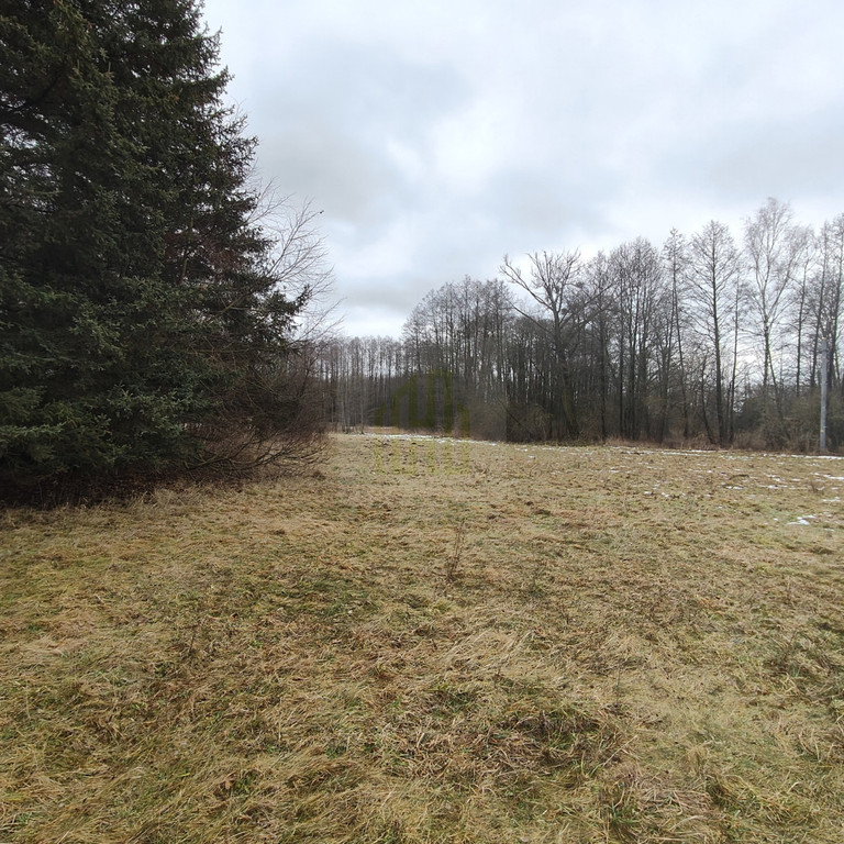 Land Plot for sale, mazowieckie grodziski (Żabia Wola, Poland)