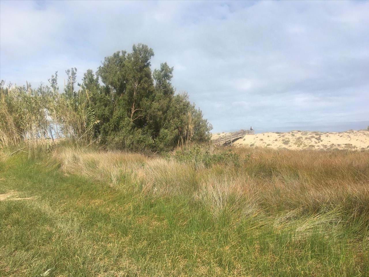 Land Plot for sale, Proc. Simplificado, SN (Cullera, Spain)