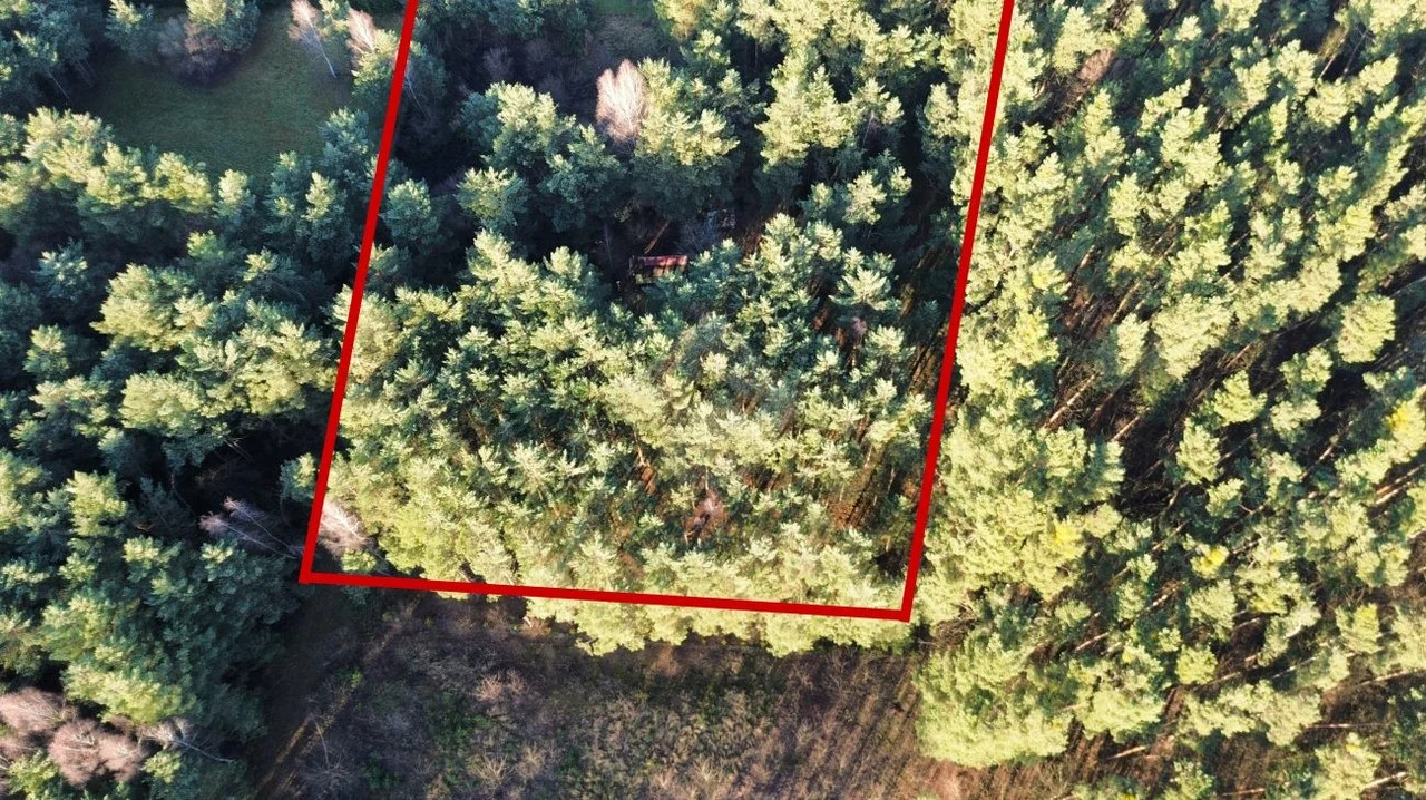 Land Plot for sale, dolnośląskie oleśnicki (Olesnica, Poland)