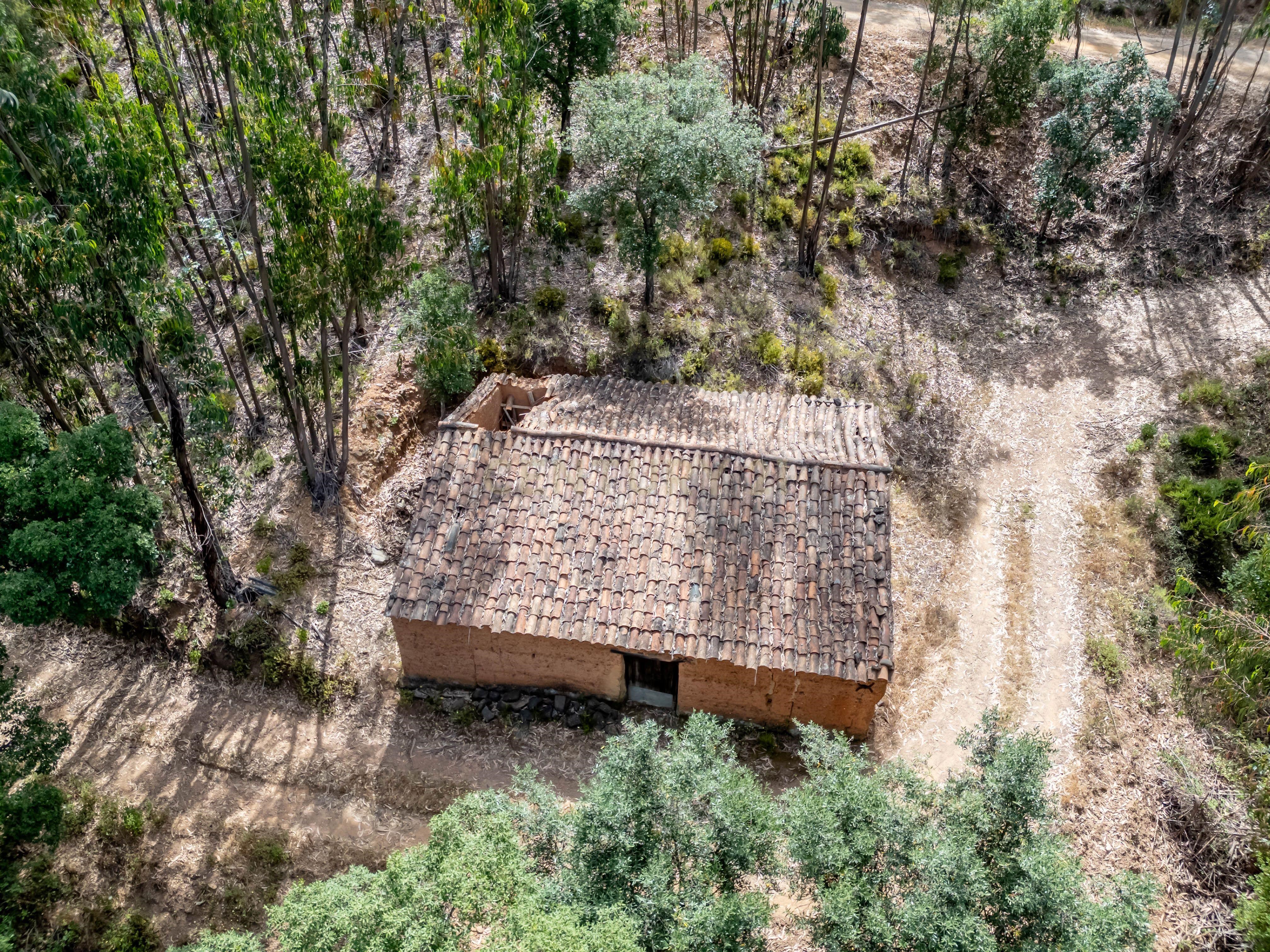 Land with Water Streams for Sale in the Monchique Mountains; Nature, Tradition and Agricultural Potential