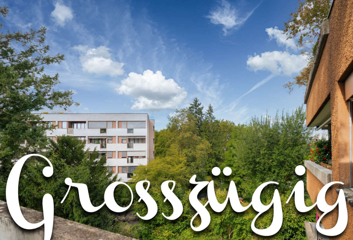 Spacious 5.5 room apartment centrally located in Winterthur-Seen