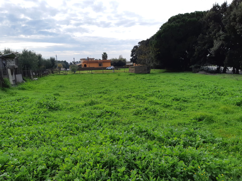 Land Plot for sale, lazio anzio marechiaro (Anzio, Italy)