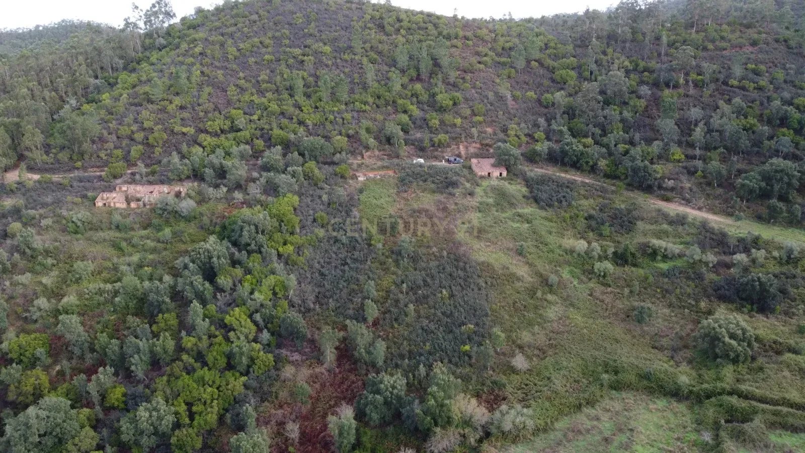 A Rare Retreat in Monchique Mountains – Where Silence Still Speaks