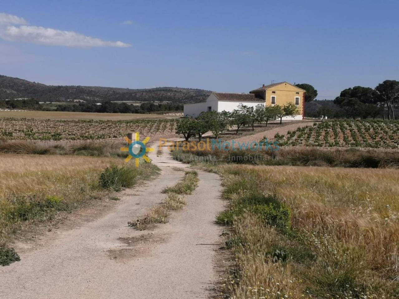 Rustic country estate for sale in Villena