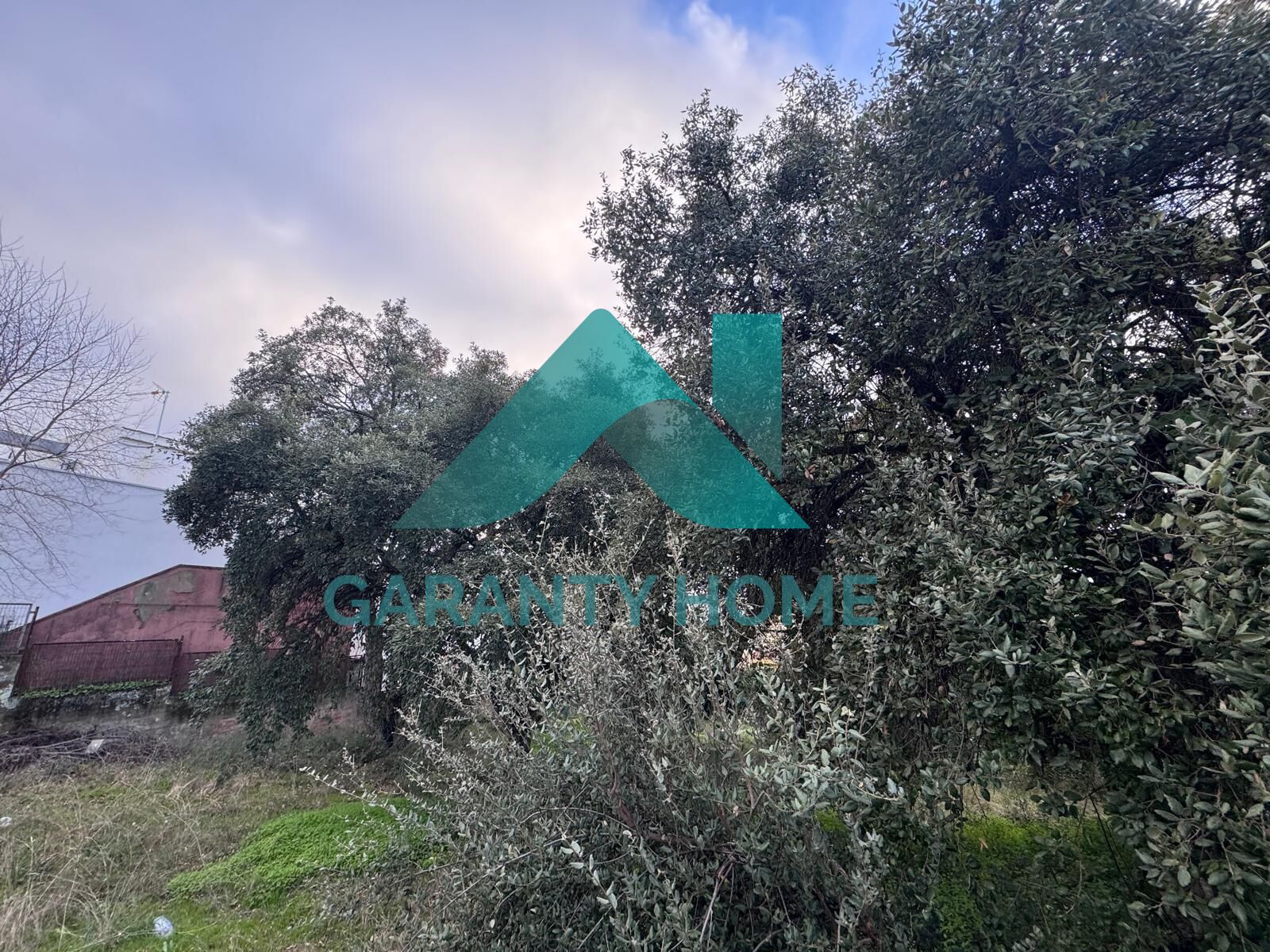 PLOT FOR SALE IN LA SIERRILLA – CÁCERES ✨