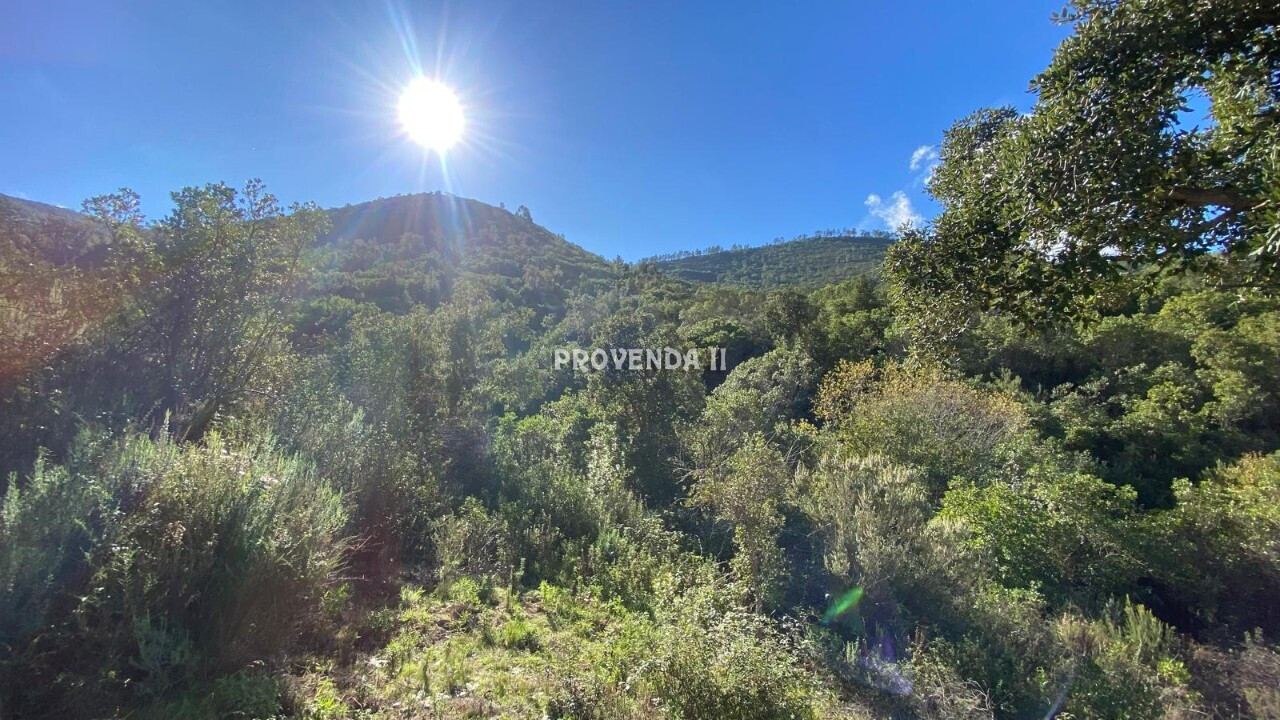 Refuge 65 ha 10 Minutes from Aljezur