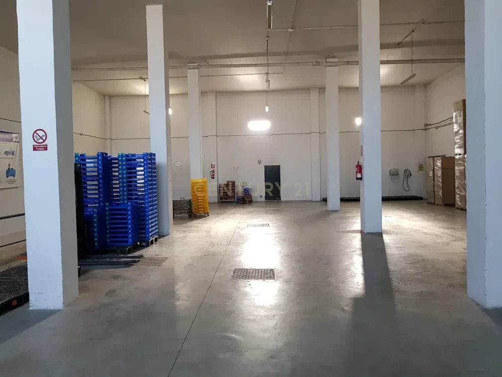INDUSTRIAL WAREHOUSE IN SALOBREÑA