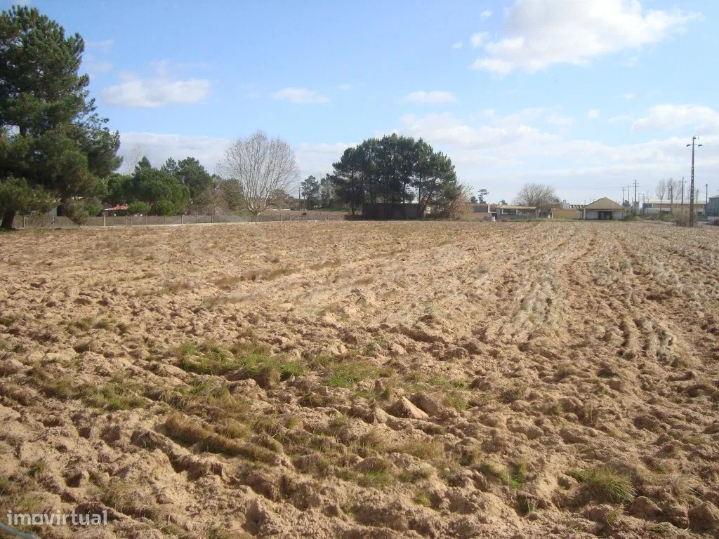 Land Plot for sale, Santarém (Salvaterra de Magos e Foros de Salvaterra, Portugal)