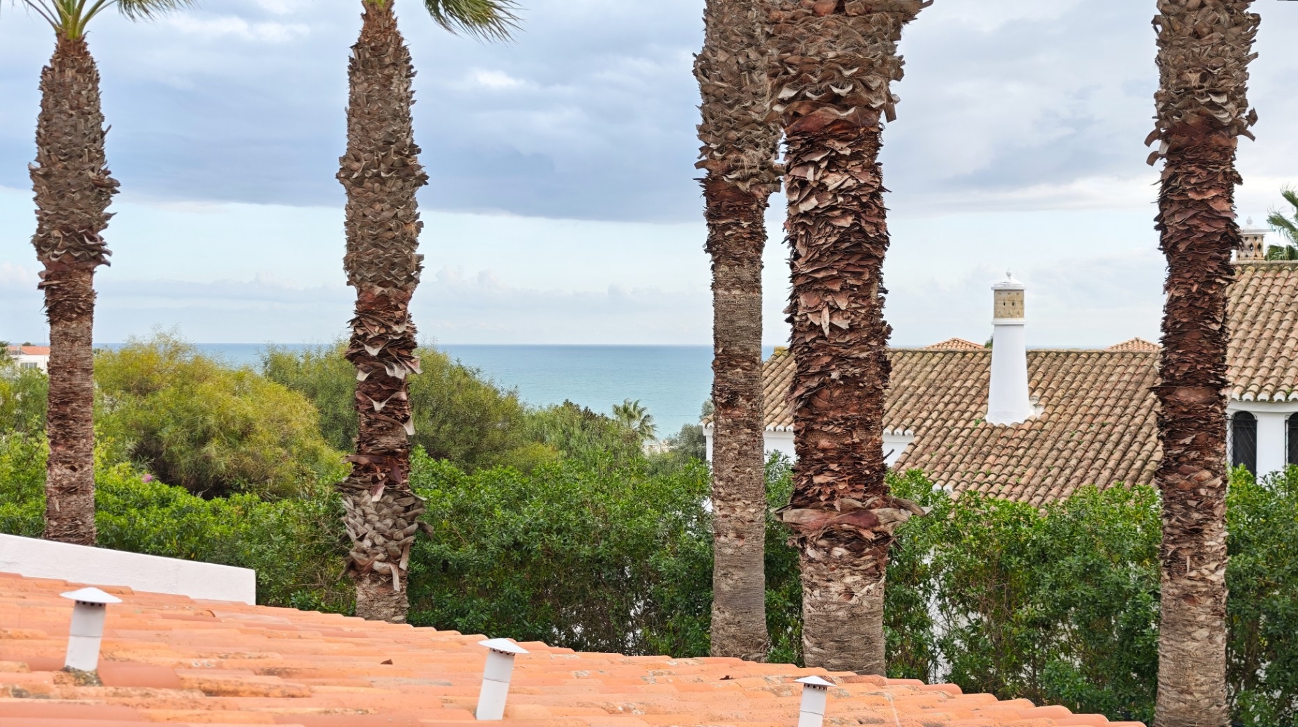 Commercial for sale, Faro, Lagoa (Algarve), Lagoa e Carvoeiro, Portugal (Lagoa e Carvoeiro, Portugal)