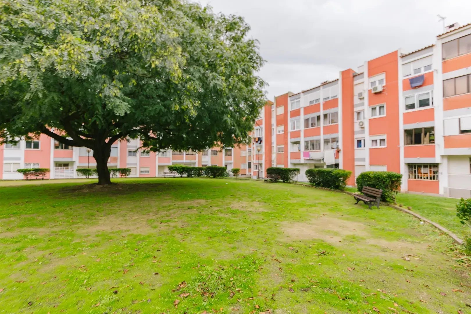 Investmente Opportunity - Tercena